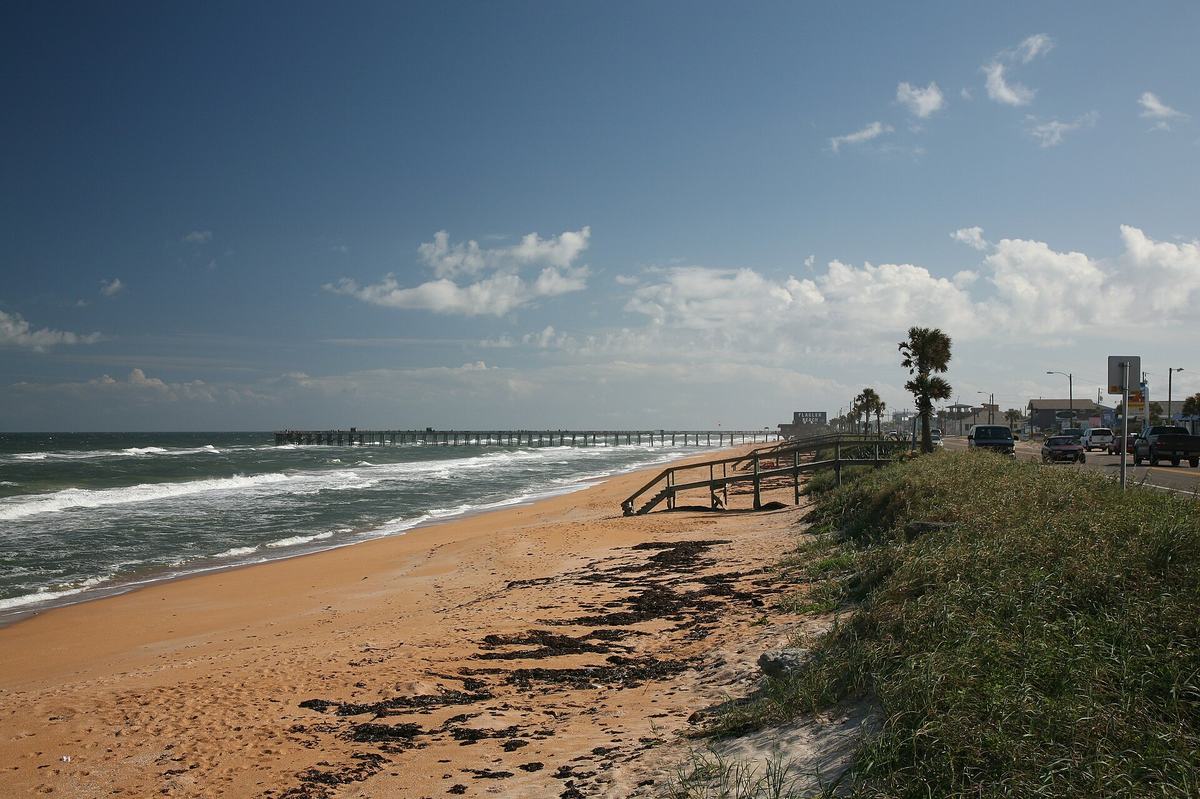 Flagler Beach shoreline with the pier, dune grass and a palm